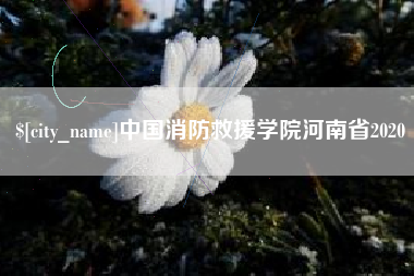 伊川中国消防救援学院河南省2020